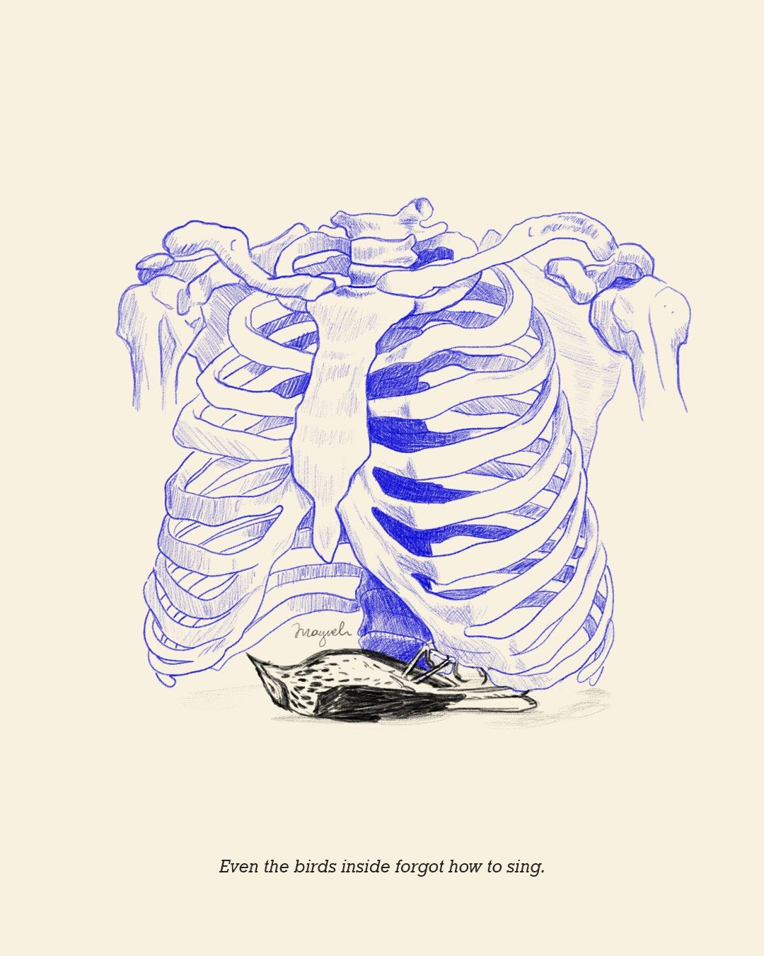 A ribcage drawn in blue ballpoint with a dead bird resting beneath it — even the birds inside forgot how to sing