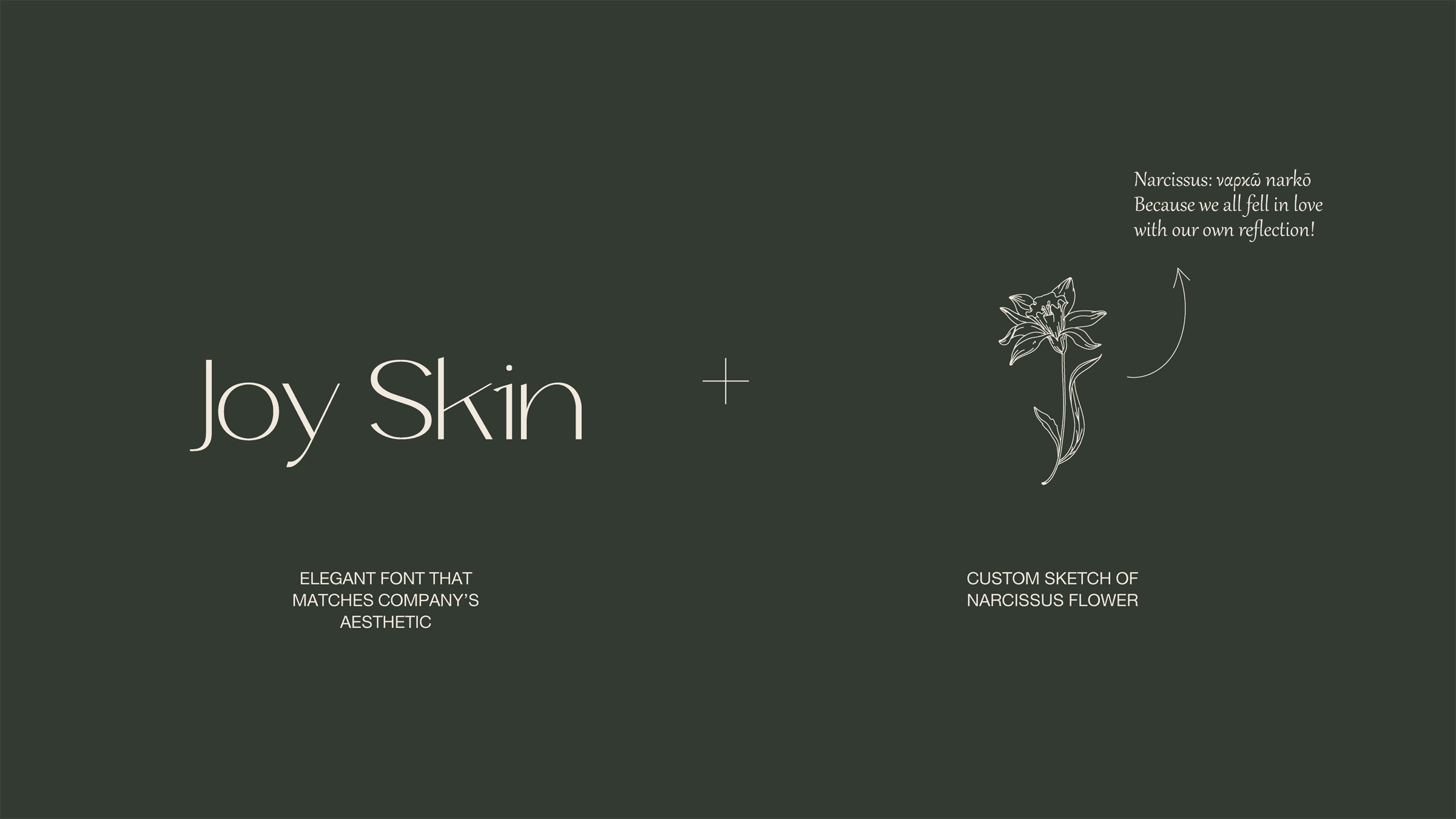 JoySkin logo